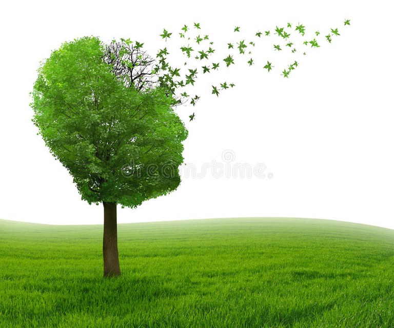 Arranca la iniciativa del "Taller de la Memoria"