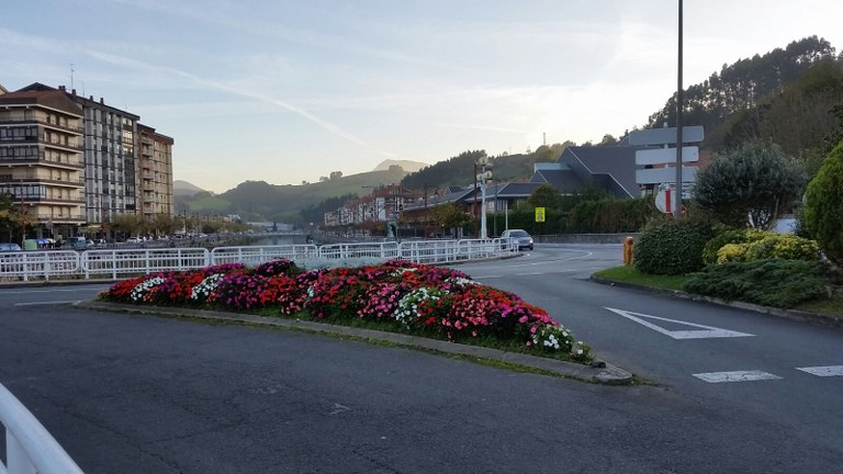 El Ayuntamiento de Zumaia pone a disposición de la ciudadanía las flores trasplantadas de los jardines del municipio