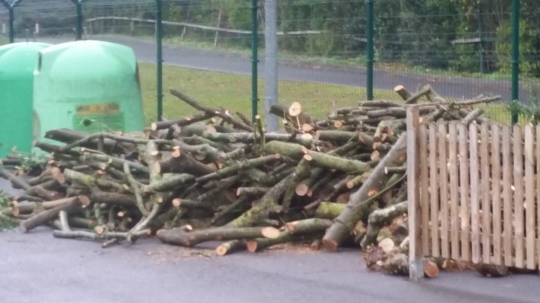 El Ayuntamiento pone a disposición de la ciudadanía la madera acumulada en la poda de árboles