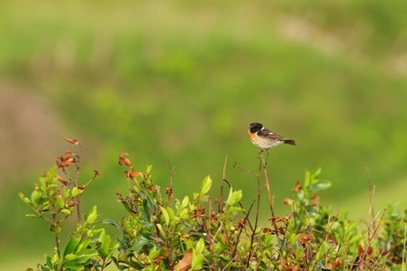 La fotografía como medio para la sensibilización 