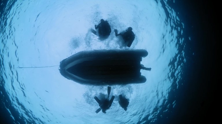 Oportunidad para conocer el mundo submarino el 13 de octubre en el cine Aita Mari
