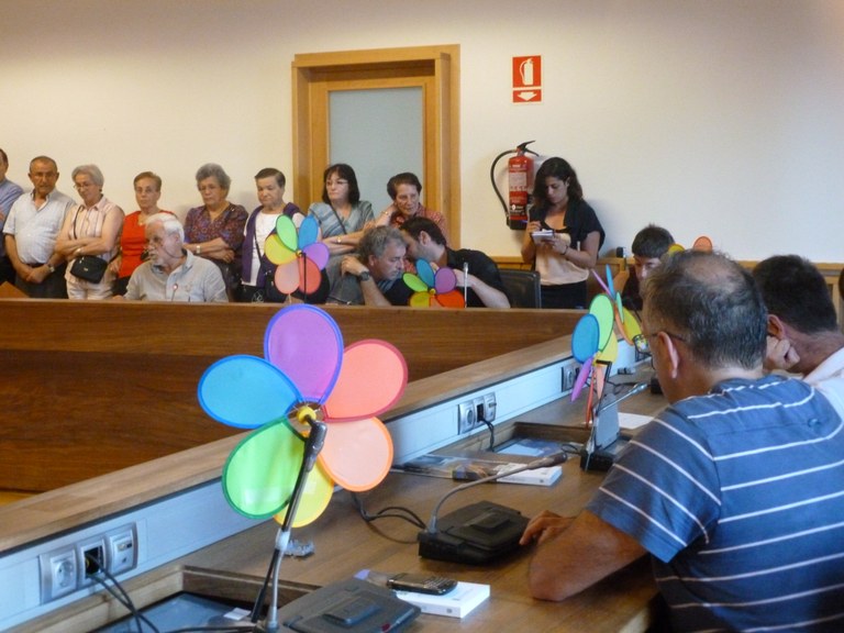 Resolución del pleno de ayer