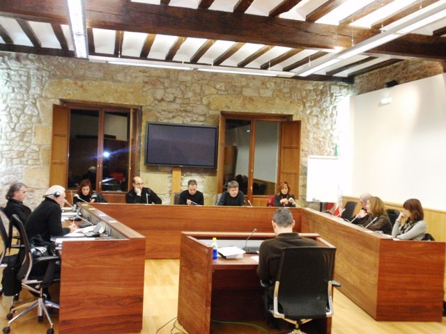 Resolución del último pleno del 2010