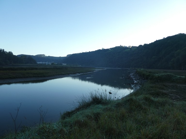 Trabajos de restauración de las marismas en la zona de Usurbiribillaga (2019-2023)