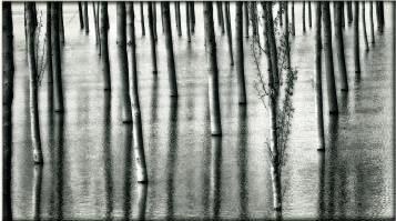 Andres Indurain, Argazki lehiaketako txapeldun