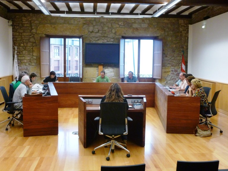 Atzoko plenoko erabakiak