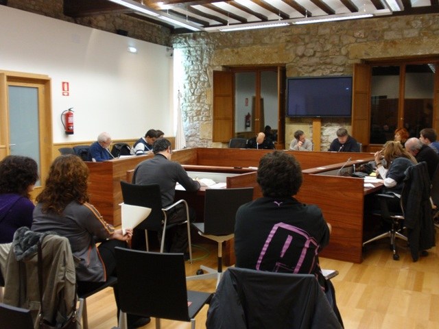 Azaroaren 10eko ezohiko plenoa