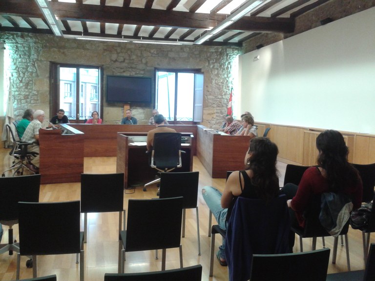 Azken plenoko erabakiak