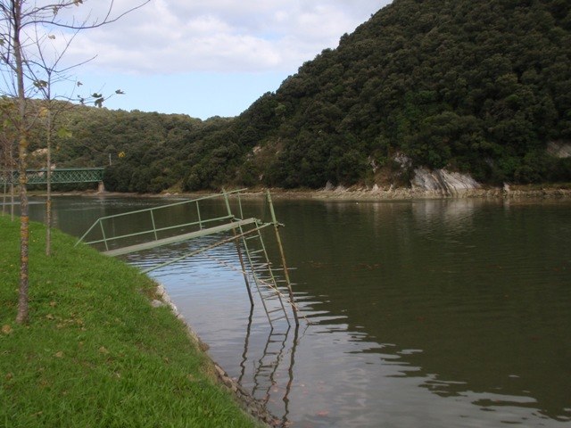 Beduako eremua berrezartzeko plana idazteko prozedura abian jarriko du Udalak 