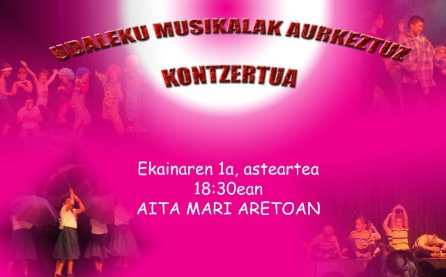 Bertan behera gelditu da Udaleku Musikalen aurkezpeneko kontzertua