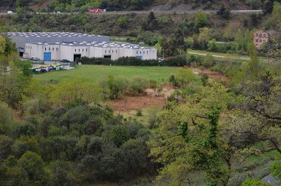 Euskal Kostaldeko Geoparkeak 2.400 zuhaitz landatu ditu Zumaiako Gorostiaga inguruan, Urola itsasadarreko ekosistemak berreskuratzeko helburuarekin