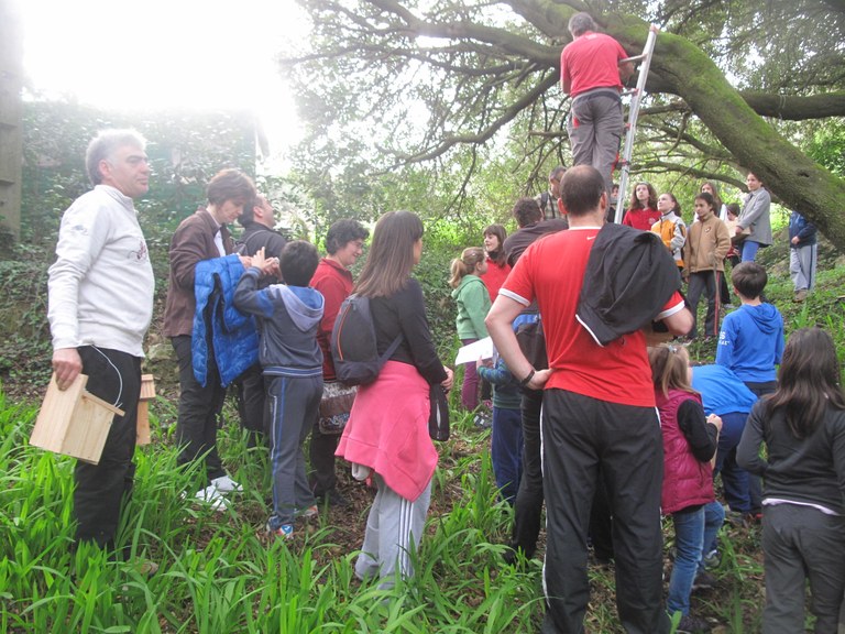 Kabi kutxak jarri ziren artadian