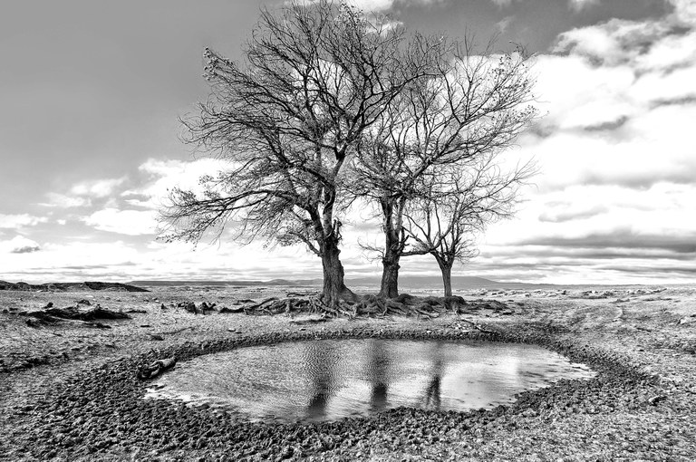 Ostegunean, irailak 5, egingo da Zumaiako XXV. Argazki Lehiaketako sari banaketa  