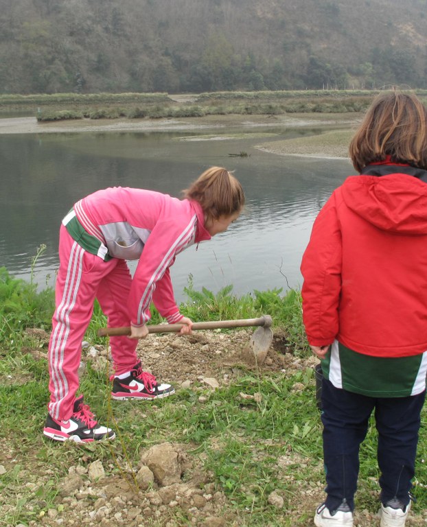 Parte hartzaile ugari Zuhaitz Egunean