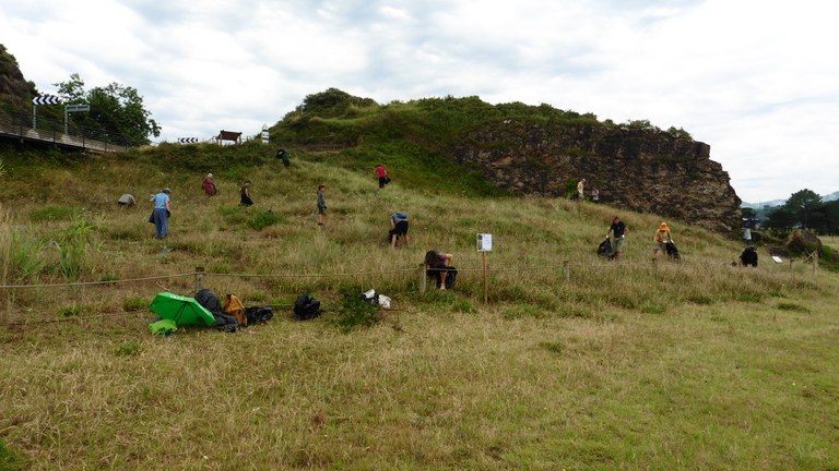 Santiagoko dunatik landare exotikoak zein inbaditzaileak erauzteko bigarren saio bat egingo dute irailaren 6an