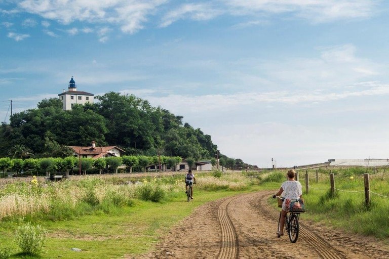 Santiagoko dunetatik landare inbaditzaileak kentzeko auzolana egingo dute hilaren 29an