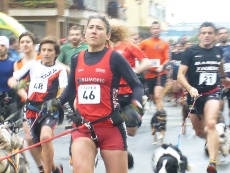 Txakur krosean, zumaiarrak nagusi