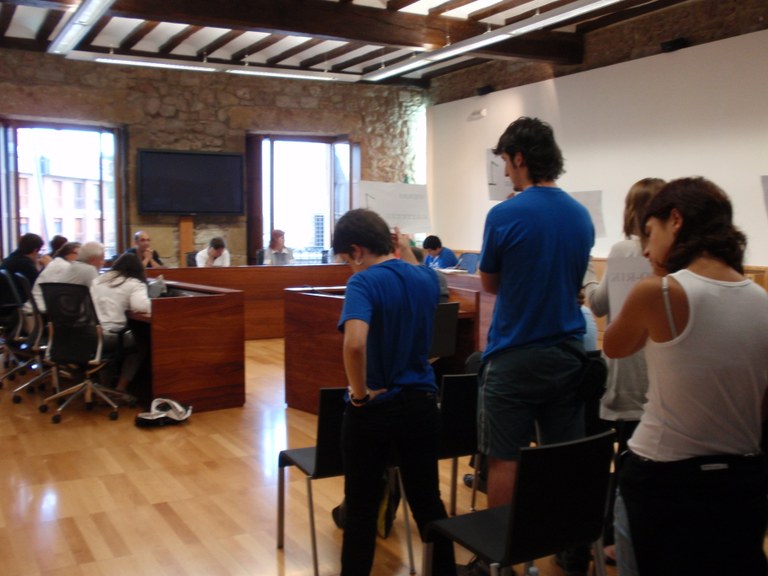 Uztailaren 29ko ezohiko plenoa 