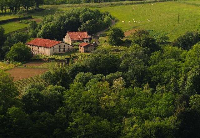 Zumaiako argazki ederrak ikusgai webgune honetan