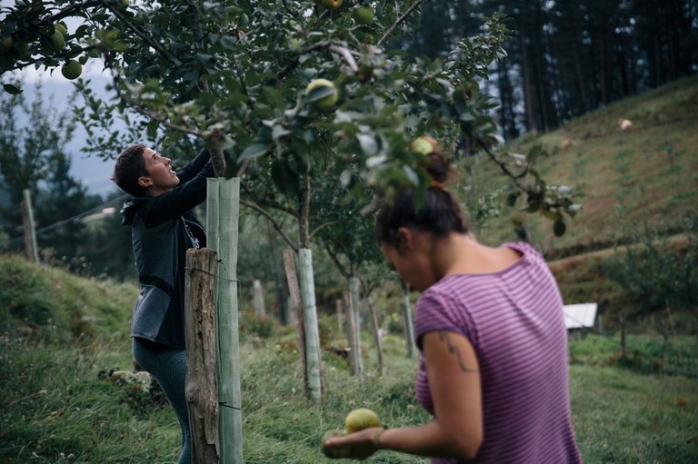 Zumaiako landa eremuko emakumeen egoera aztertzeko ikerketa-beka eskatzeko epea zabalik dago berriro