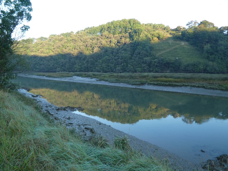 Usurbiribillaga eremuko paduren berreskurapen lanak (2019-2023)