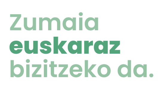 zumaia.euskaraz.png
